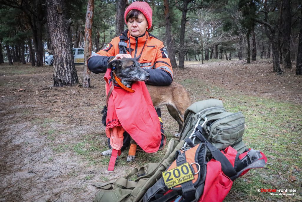 Donbas Frontliner / Собаки мають багато спеціального спорядження