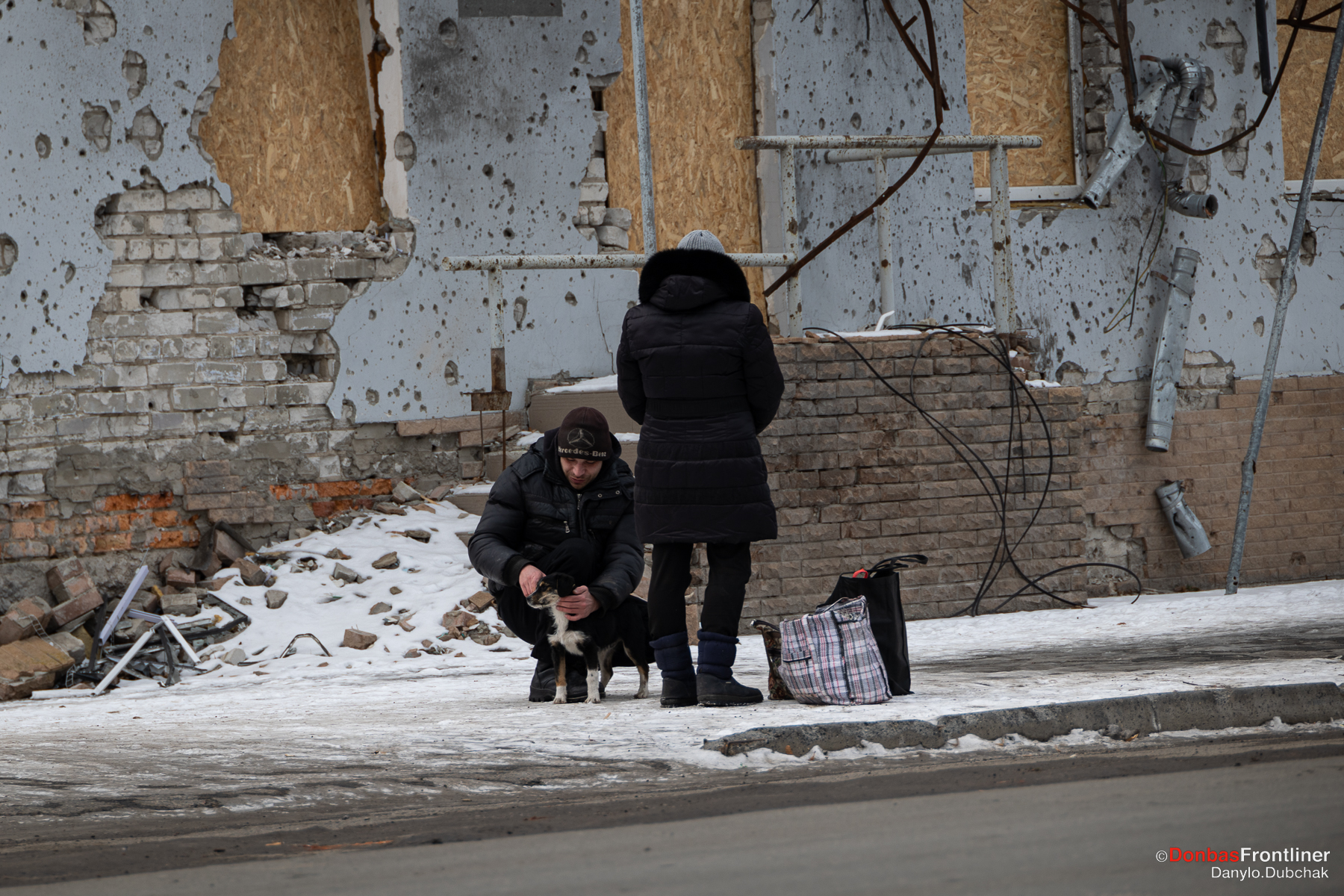 Donbas Frontliner / Місцеві підгодовують тварин, яких на вулицям Ізюму дуже багато