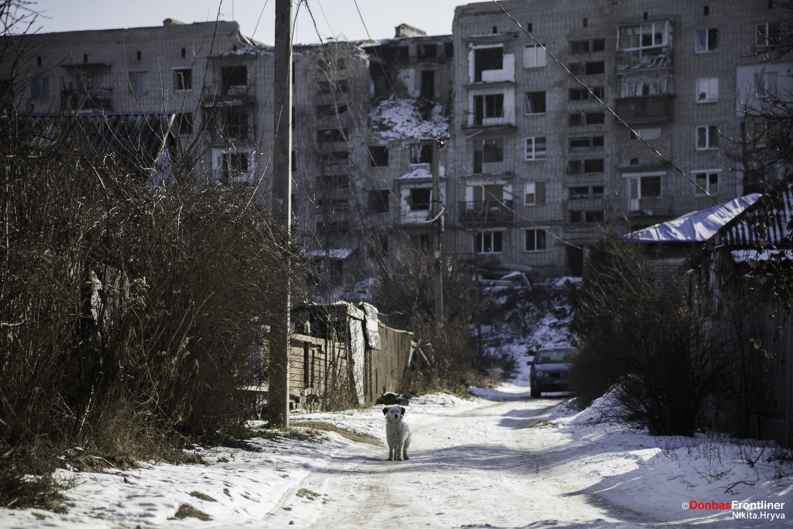 Donbas Frontliner / Пес сидить посеред зруйнованох будинків в Ізюмі на Харківщині