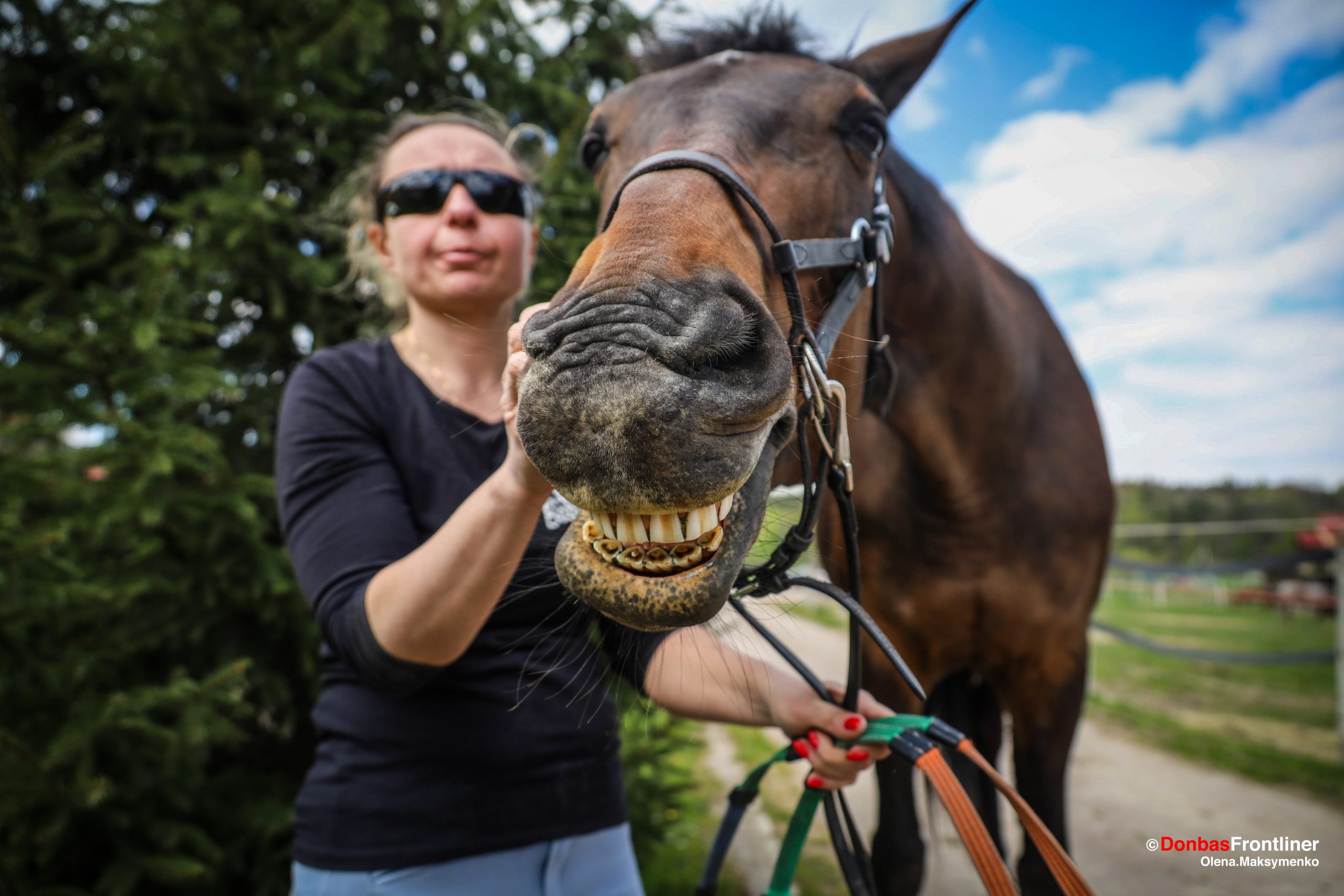Donbas Frontliner / Іноді кобила показує зуби. Але лагідно))