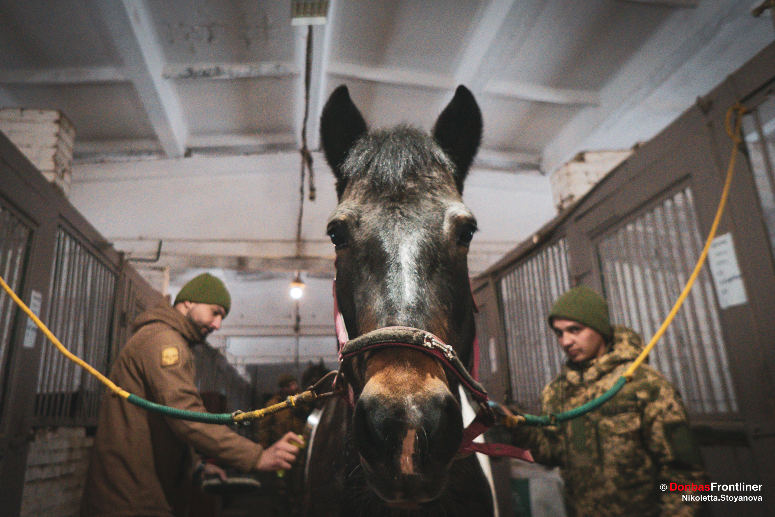 Donbas Frontliner / Догляд за твариною — один з видів іпотерапії.