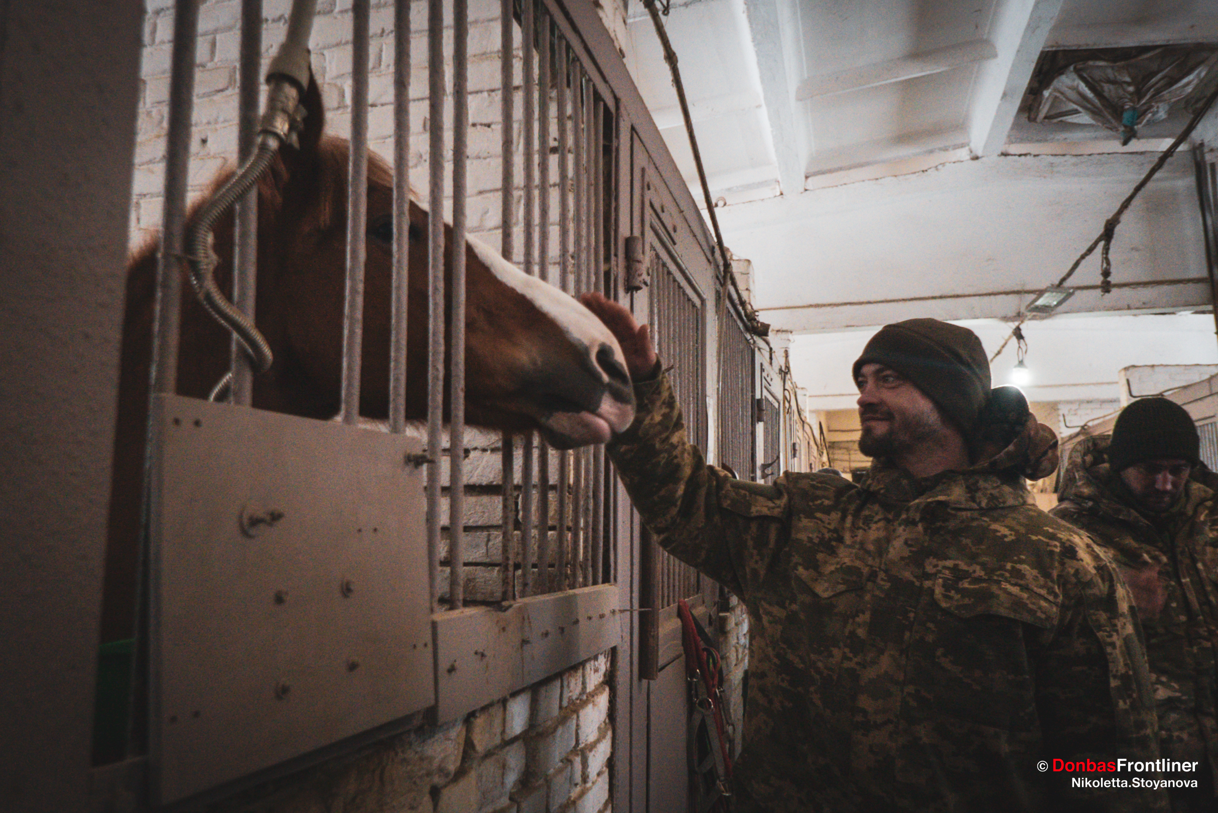 Donbas Frontliner / Військовослужбовець гладить коня.