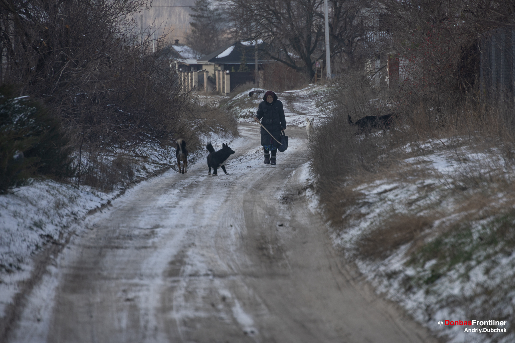Дорога, бабуся, і безпритульні собаки у селі Руські Тишки.