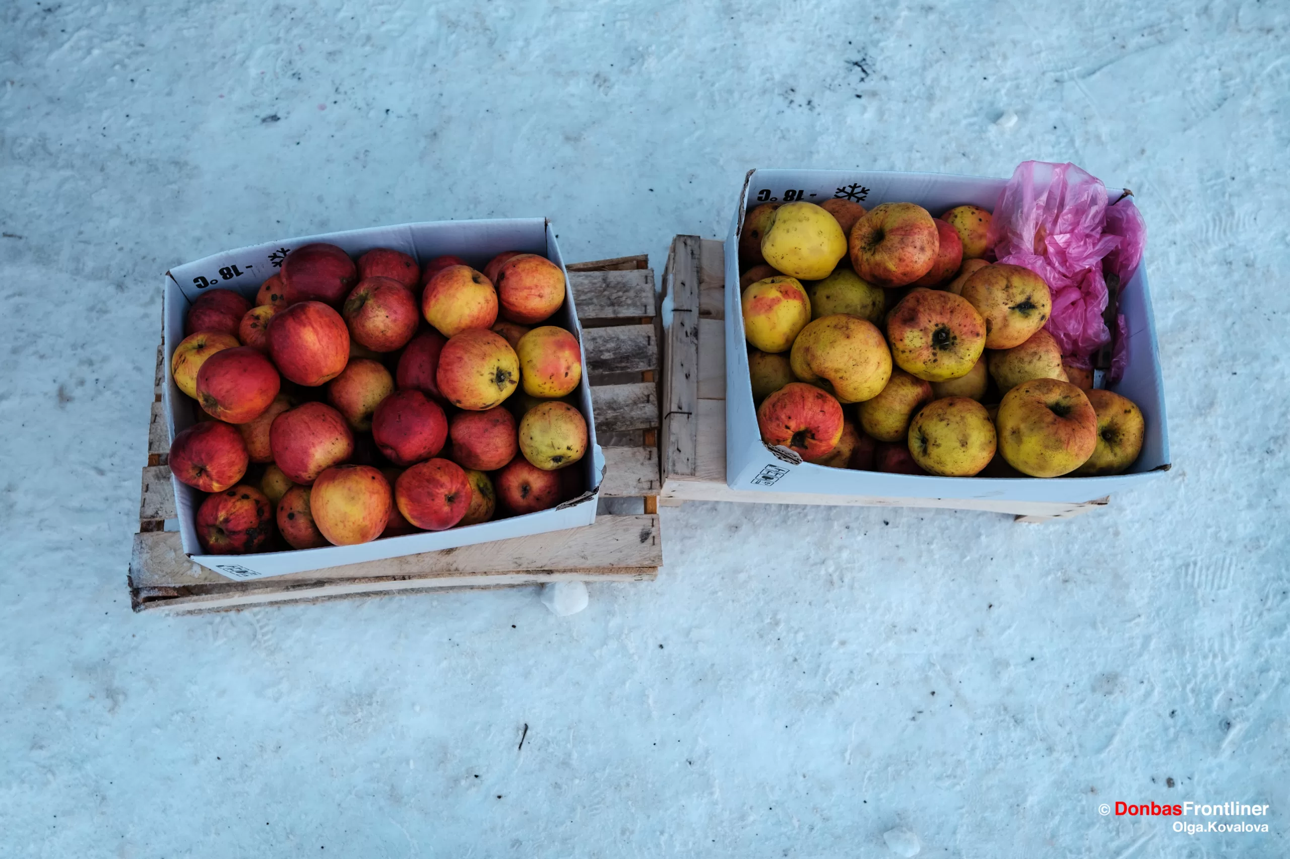 Минулорічні яблука на місцевому базарі у Ямполі, Сумська область, Україна, 17 січня 2024 року.