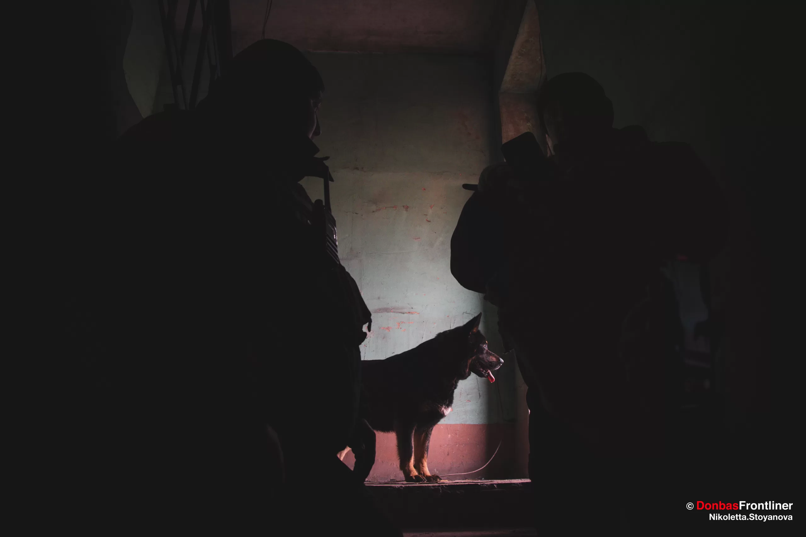 Артур Кряж та Олексій Бриль разом з собакою Нікою у підвальному приміщенні під час обстрілу села КАБами.